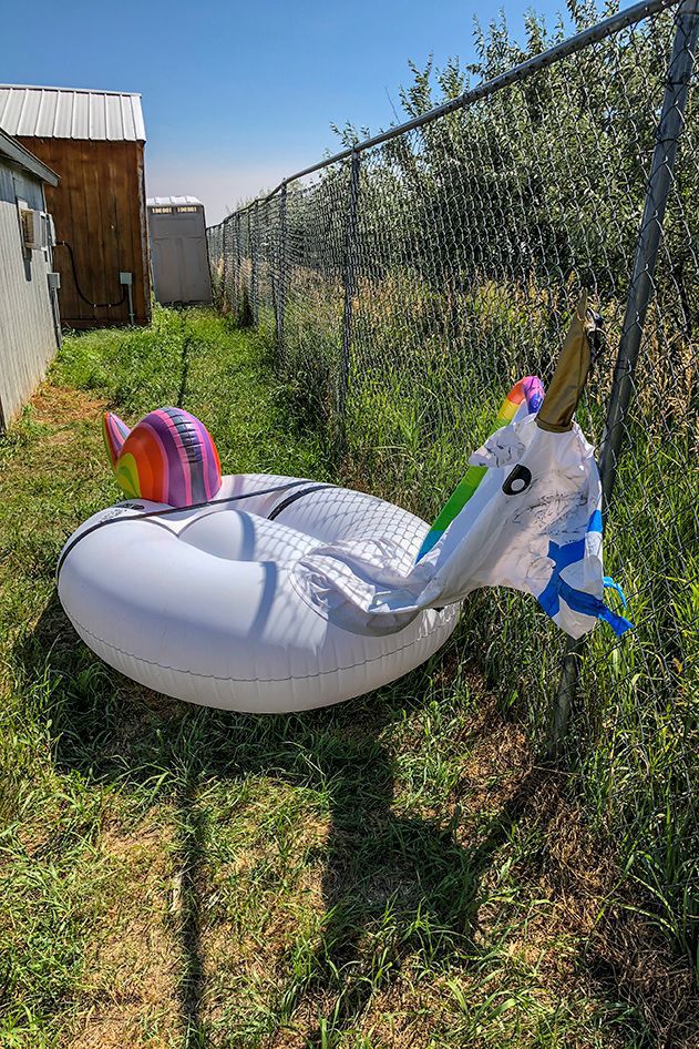 Unicorn sighting